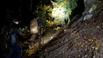 Trei ucraineni, în hipotermie, salvați după ce au rămas blocați patru zile în Munții Maramureșului