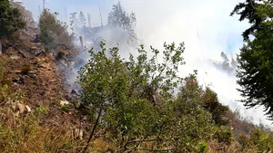 FOTO, VIDEO | Puternic incendiu de pădure de conifere în Bistriţa-Năsăud, unde focul a cuprins opt hectare/ Pericol de extindere a incendiului la o pădure din apropiere