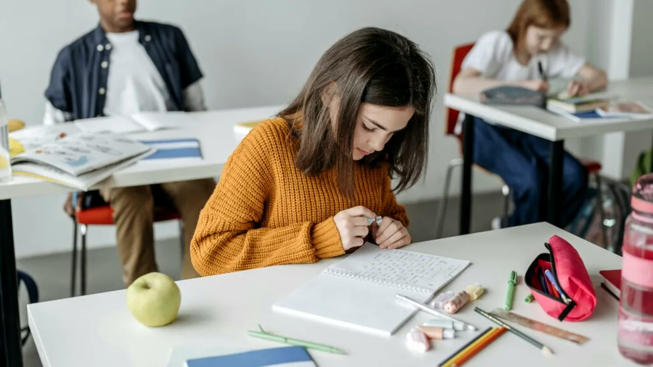 Profesorii din Marea Britanie vor fi antrenați să descopere primele semne ale misoginiei în școli