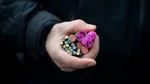 Peste două tone de petarde şi artificii confiscate de poliţiştii din Buzău şi Ialomiţa