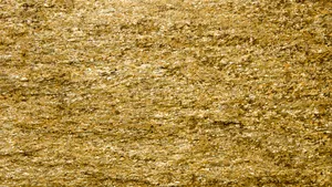 Oamenii de ştiinţă au găsit AUR în valoare de 2 milioane de dolari în sistemul de canalizare din Elveţia