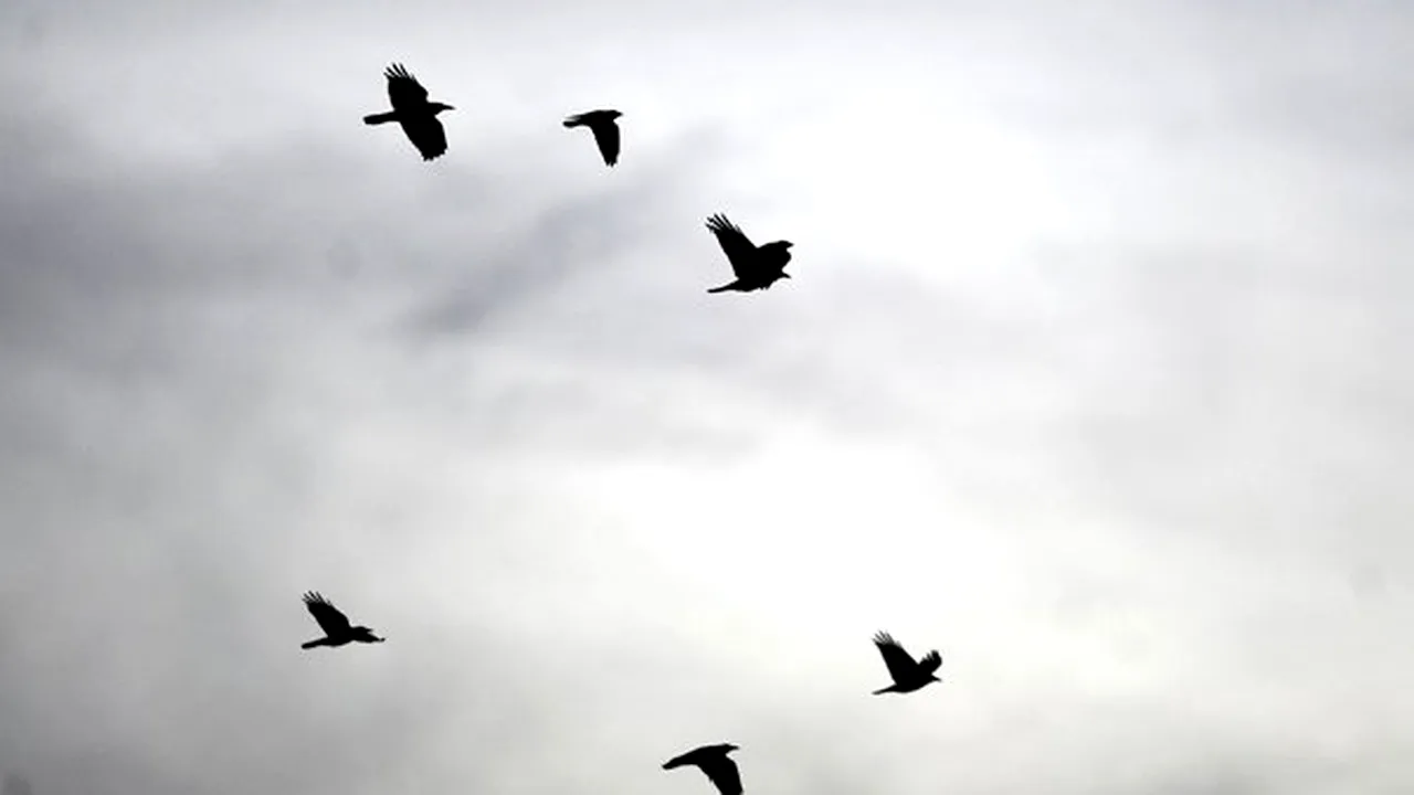 VREMEA se răceşte. PROGNOZA METEO pentru marţi şi miercuri