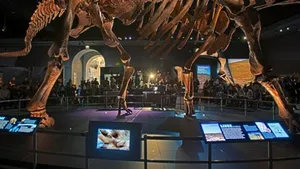 Bătrânul dinozaur Zarafasaura Oceanis nu va mai fi vândut la licitaţie