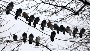 Vremea în România până pe 23 martie: estimările ANM pentru următoarele patru săptămâni