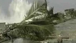 Shanghai: Taifunul Wipha determină evacuarea a 200.000 de locuitori