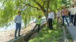 Primăria Capitalei modifică proiectul de reabilitare a malurilor Lacului Herăstrău. Mii de arbori vor fi salvați de la defrișare