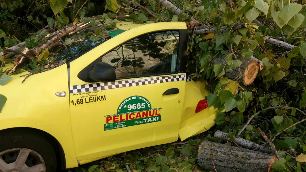 Un bărbat a fost găsit INCONŞTIENT lângă o maşină peste care a căzut un copac, în Capitală | FOTO, VIDEO