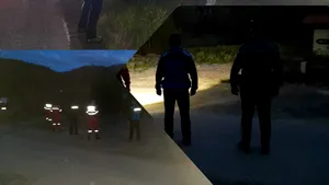 O urscoaică şi puii săi s-au apropiat de o zonă frecventată de apicultori. Jandarmii au intervenit