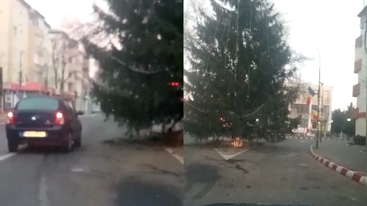 Culmea Crăciunului? Un brad a fost montat în mijlocul drumului în oraşul Panciu