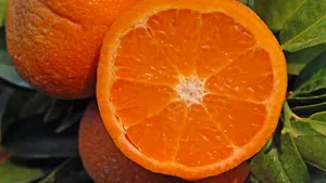 Loturi întregi de mandarine au fost retrase de la vânzare din cauza cantităţilor mari de pesticide