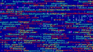 SCRANOS, ameninţarea informatică a momentului: România, cea mai afectată ţară din lume/ Cum acţionează programul