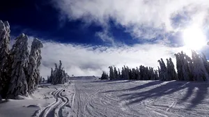 Turist lovit şi călcat cu ATV-ul de angajaţii de la o pârtie din Harghita. Poliţia a deschis dosar penal