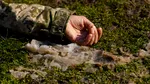 Trei persoane au murit în Ucraina în urma atacurilor aeriene și un copil a murit în Rusia