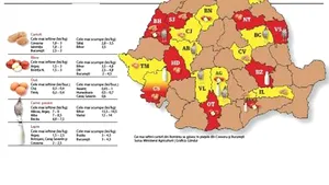 Vezi unde găseşti cea mai ieftină şi cea mai scumpă mâncare. Harta preţurilor la alimente