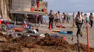 Tragedie în California: Trei oameni au murit după ce faleza unei plaje populare s-a prăbuşit | VIDEO