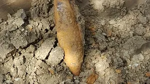 Bombă din Al Doilea Război Mondial, în stare de funcționare, găsită în Oradea