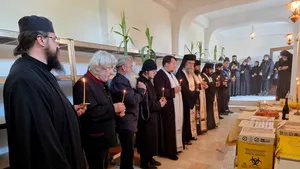 ISTORIA FĂRĂ PERDEA MARIUS OPREA- Cum am ajuns să întocmesc, de ziua mea de naştere, ”acte de cesiune” a morţii