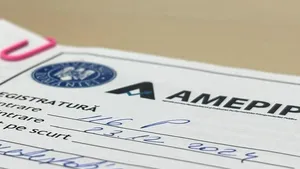 Cum a modificat Guvernul legislația AMEPIP și normele de aplicare a noii OUG 109 privind guvernanța corporativă? Au fost incluse prevederi pentru a evita provizoratele