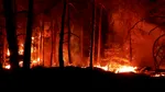 Canicula agravează incendiul de lângă Paris. Franța recurge la o intervenție în premieră