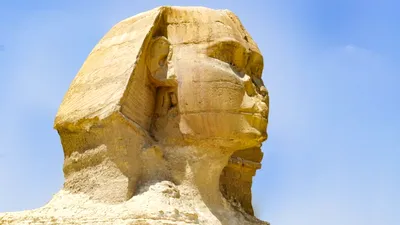 INEDIT Un crocodil de acum 45 de milioane de ani, descoperit în roca din care a fost construit Sfinxul