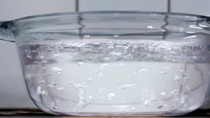 STUDIU: Un virus ajută la scăderea de trei ori a duratei de fierbere a apei - VIDEO