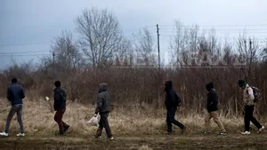 Ungaria vrea să construiască un gard la graniţa cu Serbia pentru combaterea imigraţiei ilegale