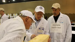 Misterul găurilor din caşcavalul elveţian, elucidat de cercetători