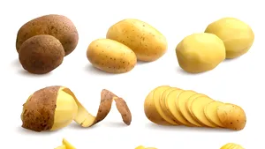 Râs, cartofi și ulei de măsline. Ultimele sfaturi ale celui mai iubit medic britanic, apărute după moartea sa