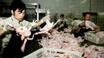 Europa, asaltată de carnea de pui ieftină din China. Bruxelles-ul urmărește importurile