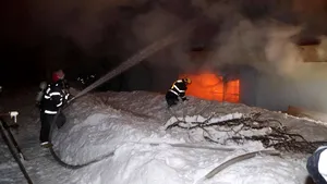 A fost găsită cauza incendiului în care au murit 11 animale ale circului Globus ar fi pornit de la un calorifer defect / Directorul circului Globus, demis de primarul Capitalei