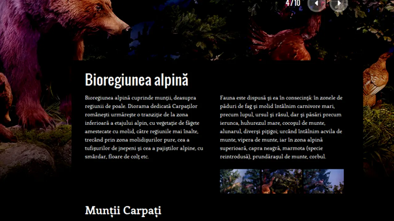 Muzeul Antipa are un nou site