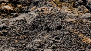 Tragedie în Congo: Cel puțin 200 de persoane au murit după prăbușirea unor mine