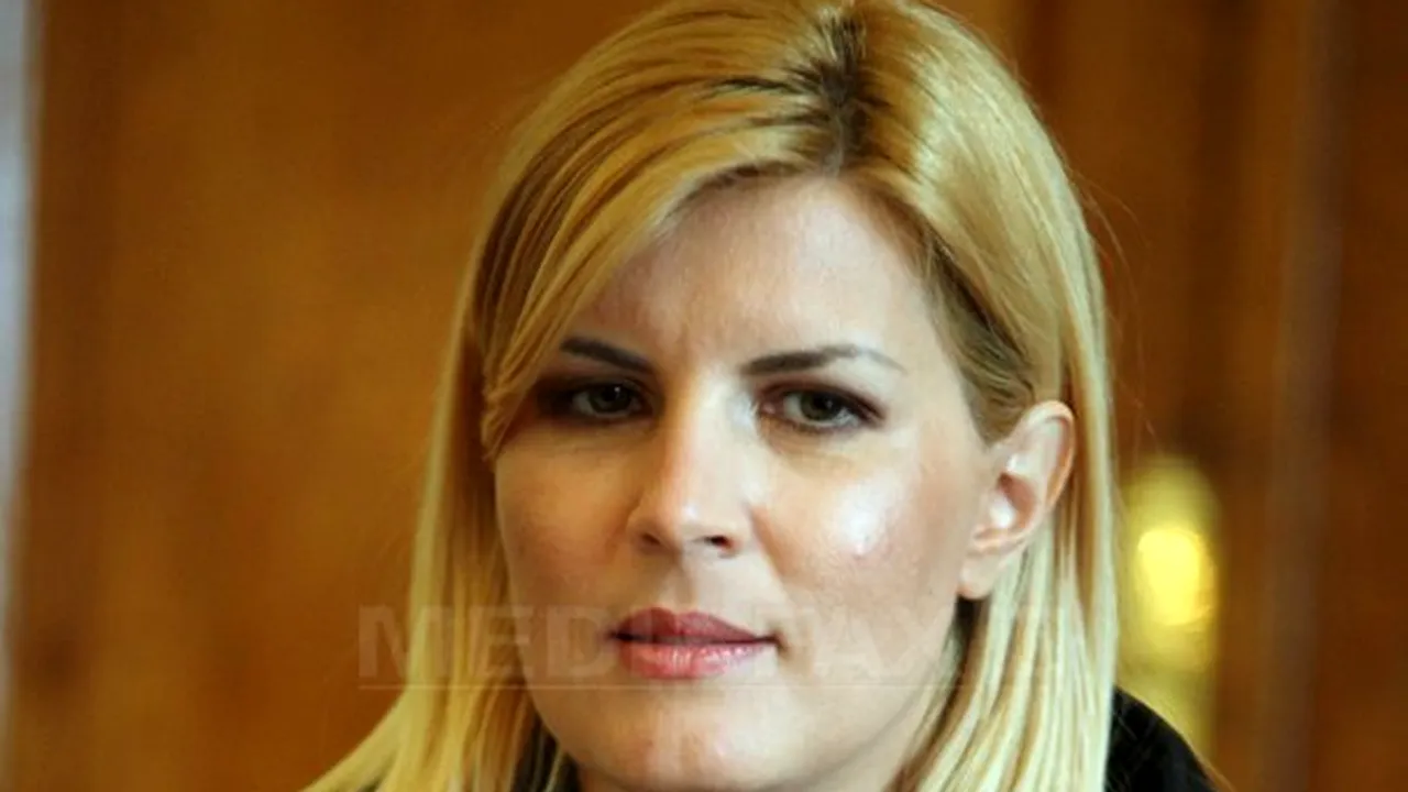 Udrea: În ultimii ani, am renunţat la modelul Băsescu, PDL Bucureşti să se reîntoarcă la bucureşteni