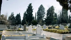 Ieșeanul care are un teren în formă de ”chitică” negociază pentru noul cimitir al Vasluiului. Oferta controversată revine în licitație