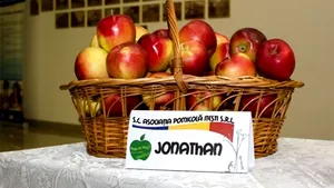 Consolidarea managementului dăunătorilor în livezile din România prin soluții sustenabile