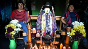 Mărturia unui specialist în ritualurile şamanice: ce simţi când bei ayahuasca şi cât costă o experienţă. VIDEO 
