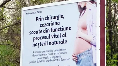 POLITIC „În 2026, așa ceva?” Senatoarea Cynthia Păun cere intervenție de urgență după apariția unor panouri controversate