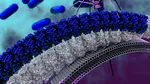 Cazurile de „bacterii de coșmar” sunt în creștere în Statele Unite