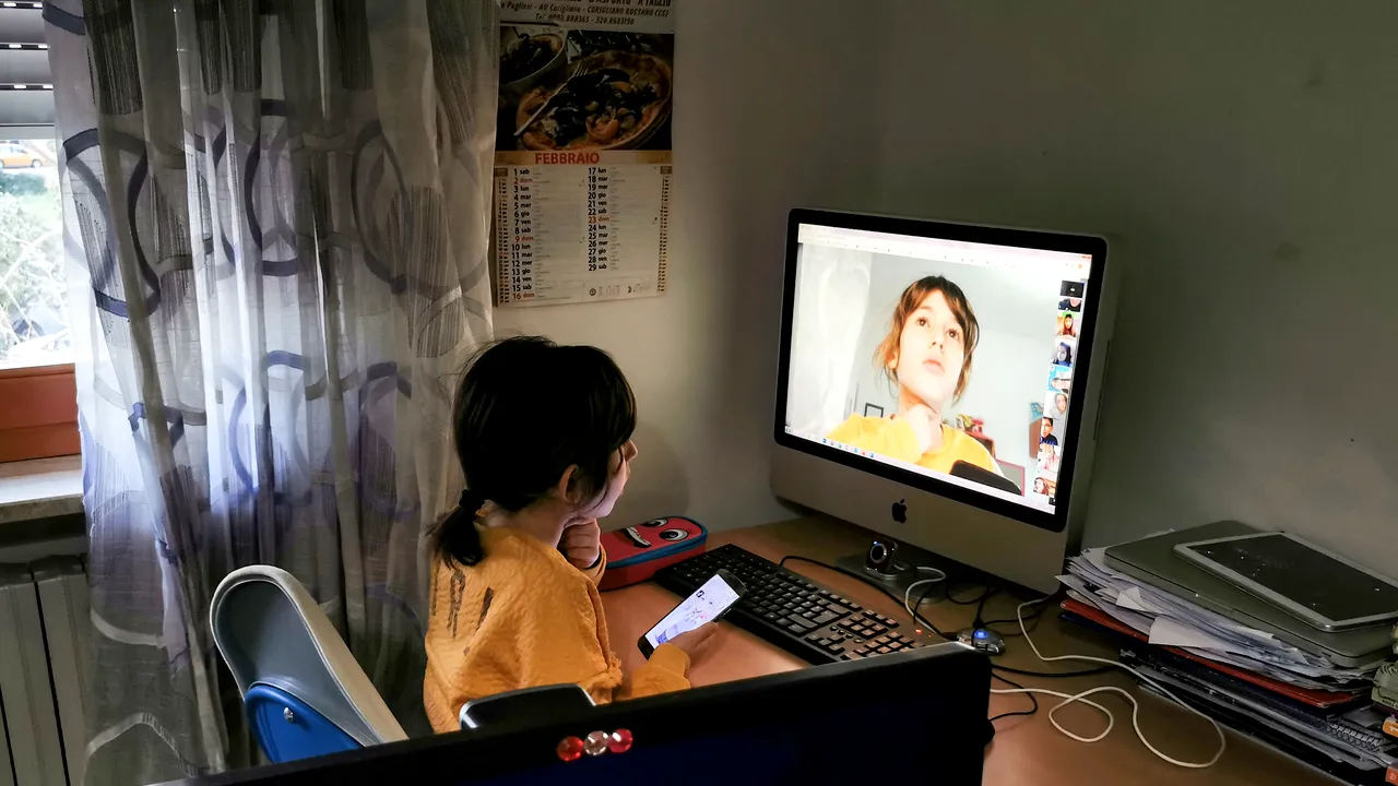 Scolile private, o piaţă de 3 mld. de lei, cer ajutorul Guvernului să evite falimentul 