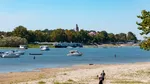 Febra vânătorii de fosile ia amploare pe malurile Dunării. Oamenii se adună să caute rămășițe de mamut