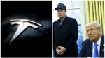 Legăturile dintre Elon Musk şi Trump au impact negativ în Europa: Vânzările Tesla, la jumătate