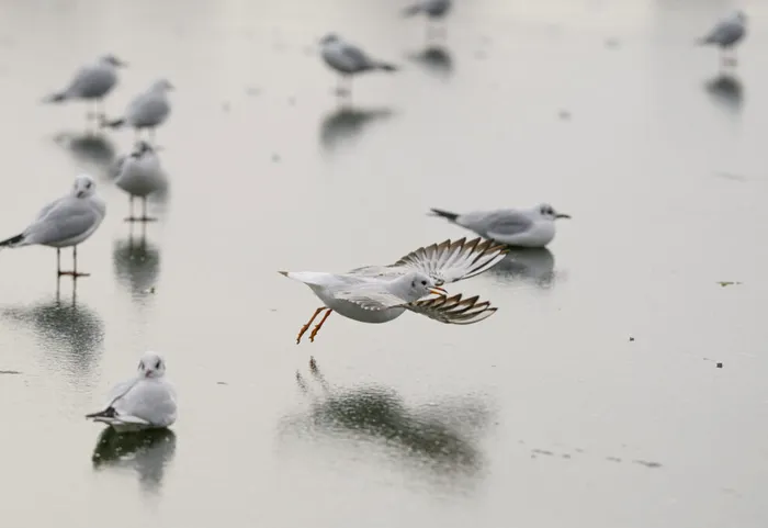 SOCIAL Minus 20 de grade și încă patru zile de ger continuu în România