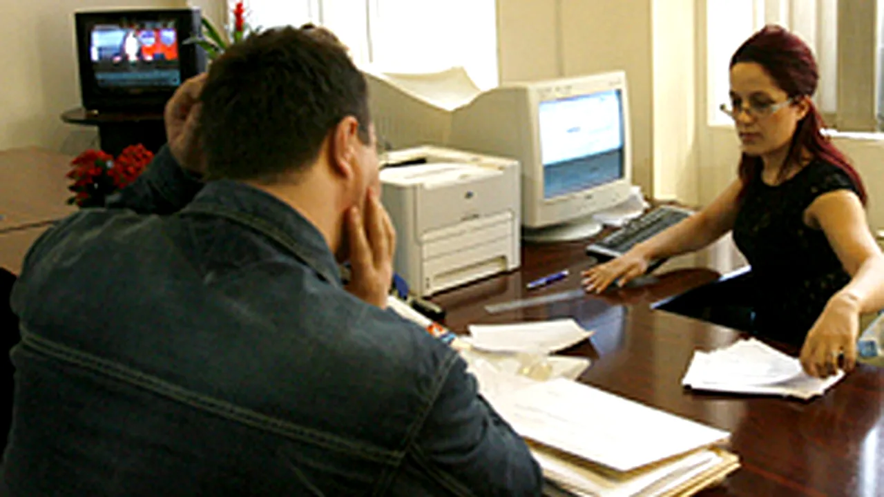 Ministerul pentru IMM-uri cumpără servicii de consultanţă de 17,4 milioane lei