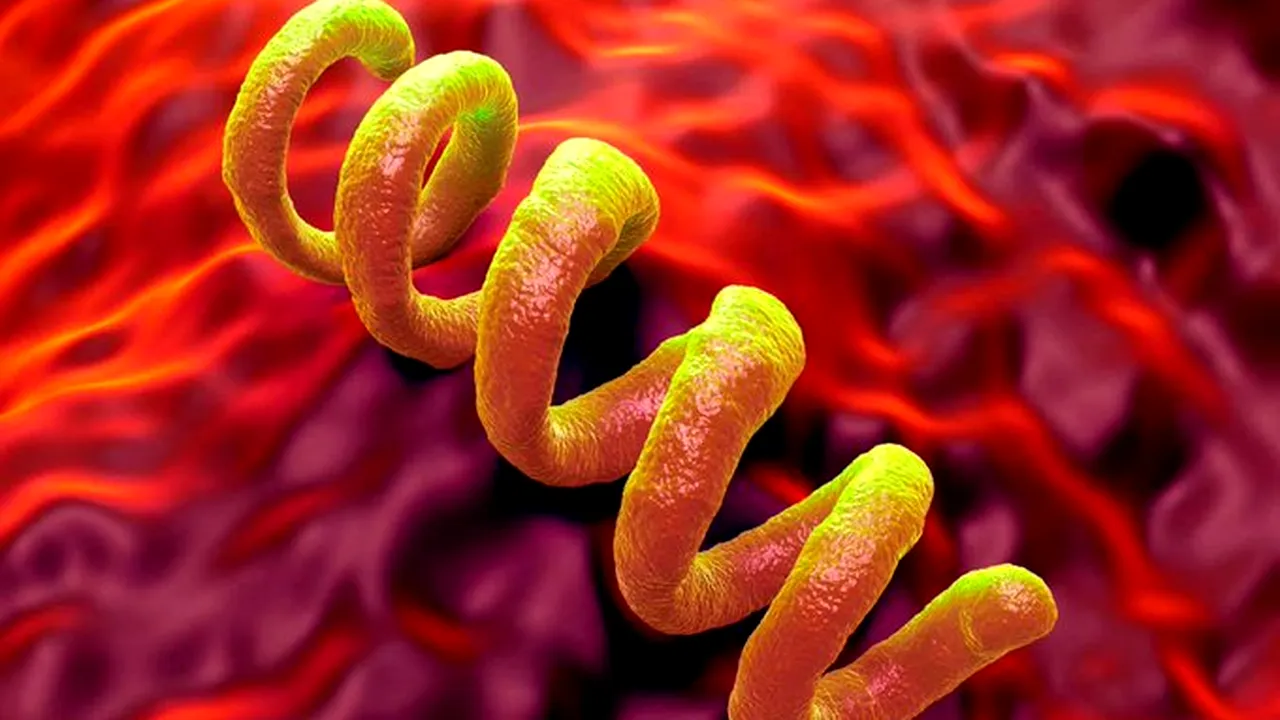 Americile, punctul de plecare al unei boli care a marcat omenirea timp de 5.500 de ani