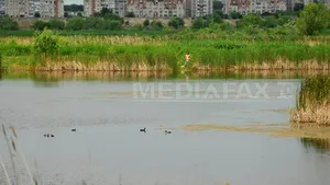 CONFERINŢA GÂNDUL: Plumb: Lacul Văcăreşti are avizul Academiei pentru a fi arie protejată, rămâne problema proprietăţii