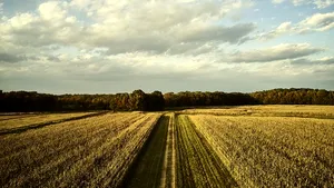 Corteva Agriscience raportează o creştere organică remarcabilă de 23% în afaceri