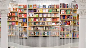 TOP cele mai vândute cărţi în 2015, pe elefant.ro. Ce scriitori preferă românii