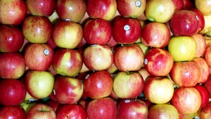 Cea mai simplă plăcintă de mere în foi de orez: rapidă, delicioasă și fără gluten