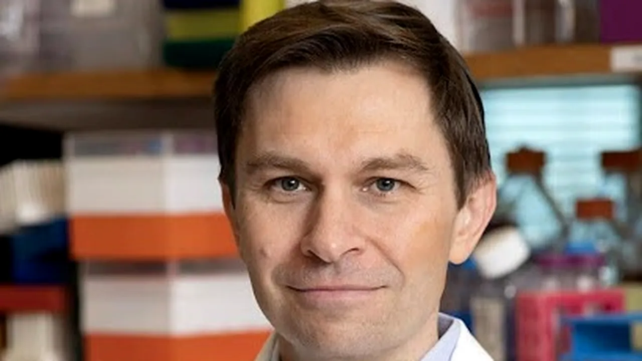 Visul tinereții fără bătrânețe: Primul test pe oameni al unei terapii care ar putea inversa îmbătrânirea