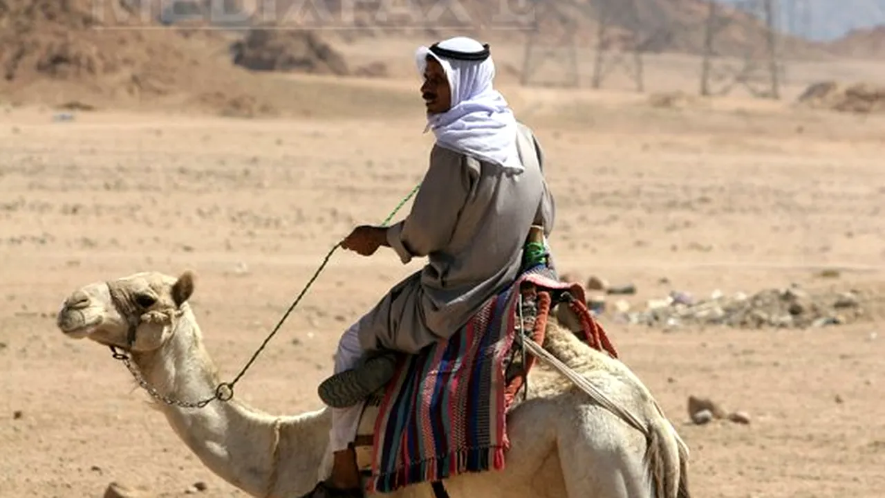 Egipt: 19 poliţişti au fost răpiţi de beduini în Sinai